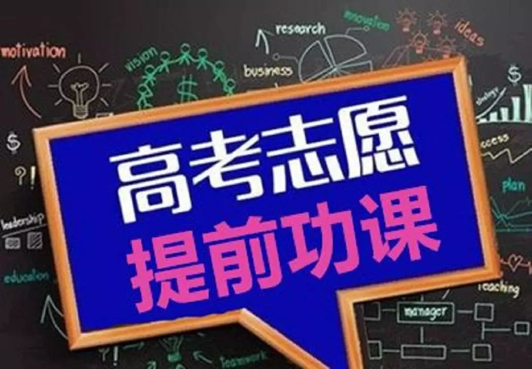 2024新奥正版资料免费,专业问题执行_GM版31.195