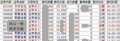 黄大仙一码一肖100,深入数据执行应用_黄金版43.732