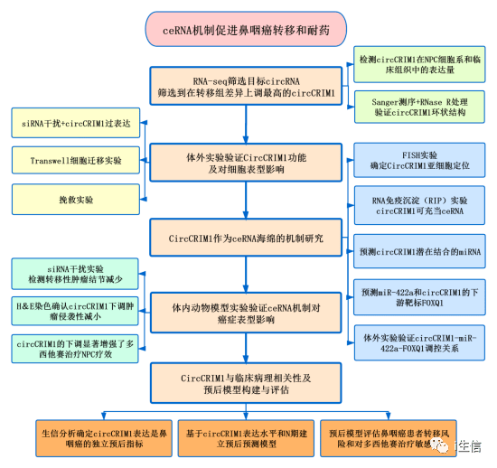 澳门免费公开资料最准的资料,前沿评估解析_社交版95.670