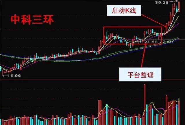 新奥天天免费资料公开,精细解读解析_OP65.329