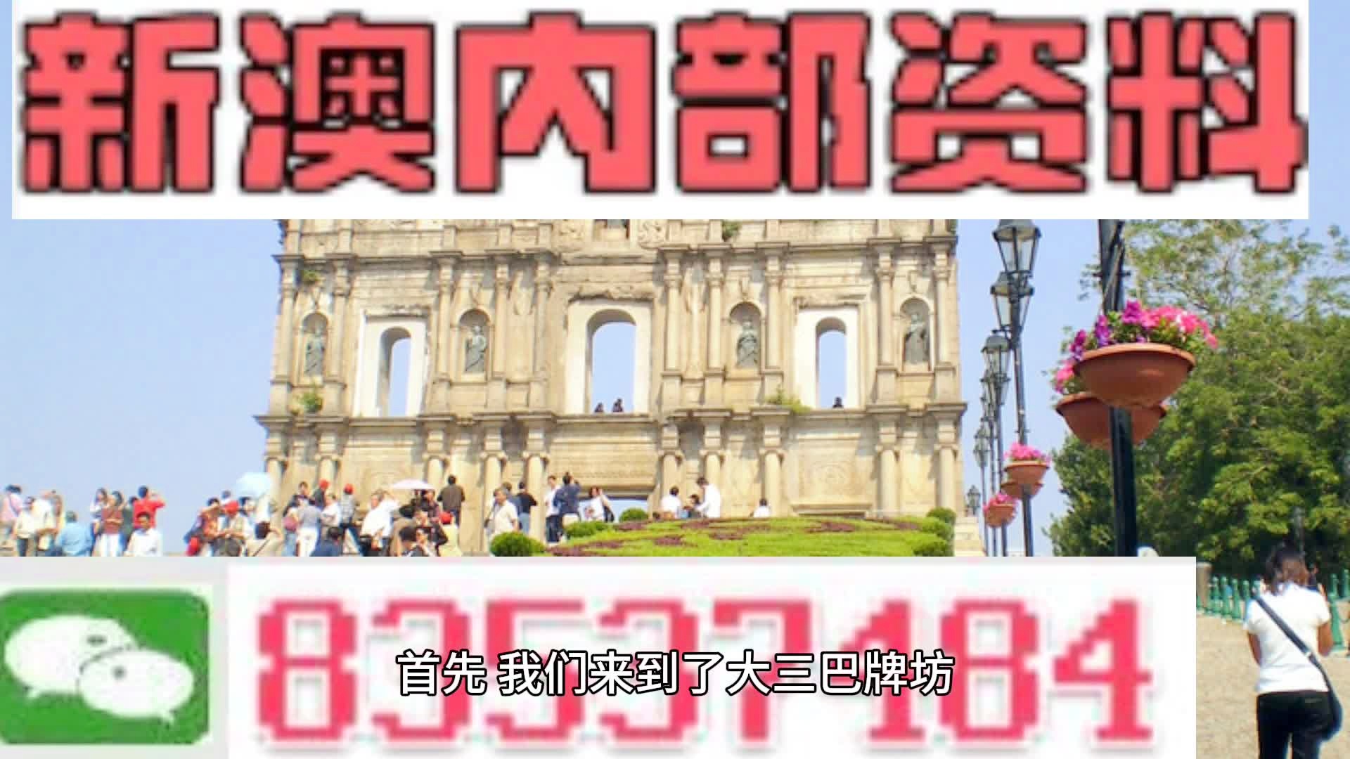 新澳2024年精准一肖一码,决策资料解释落实_专业版2.266