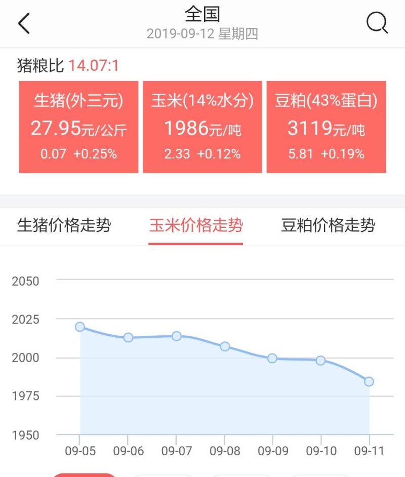 东北今日玉米价格动态分析