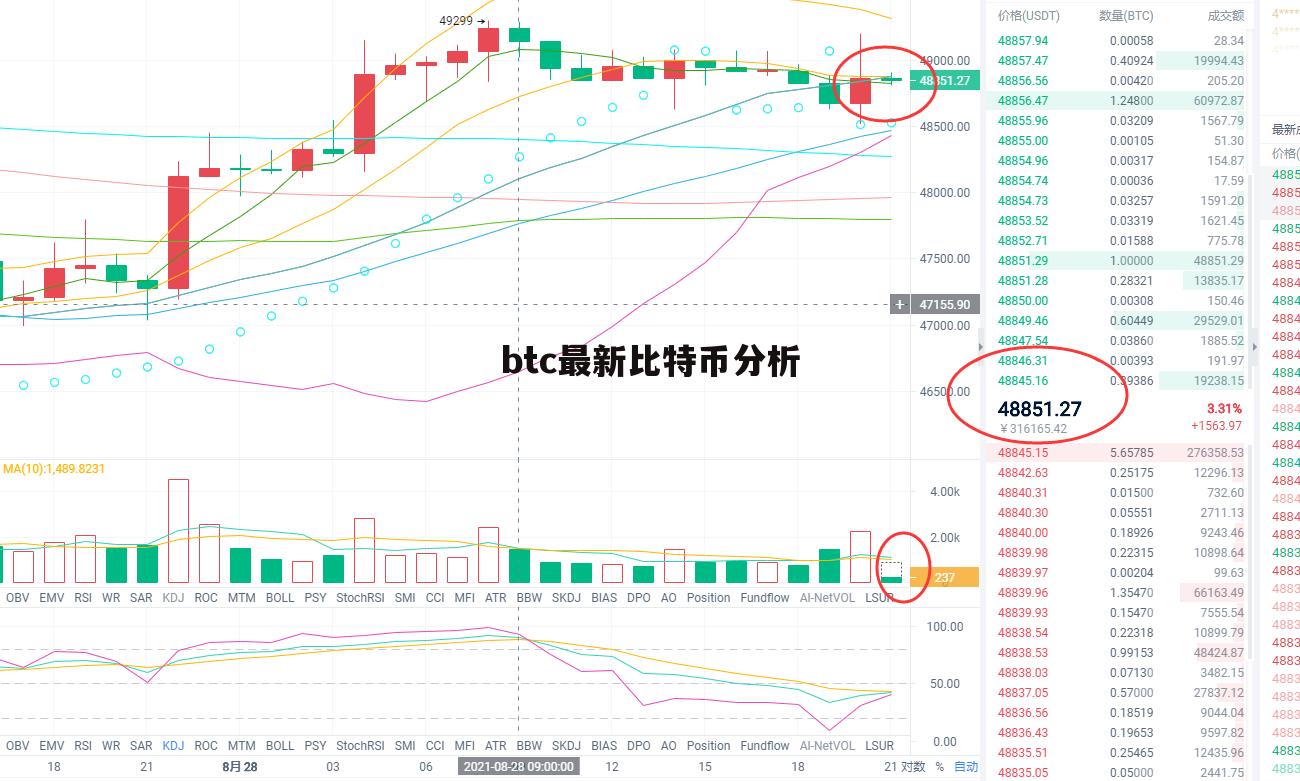 BTC今日行情深度解析