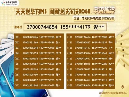 2024天天彩资料大全免费600,高效评估方法_9DM79.51