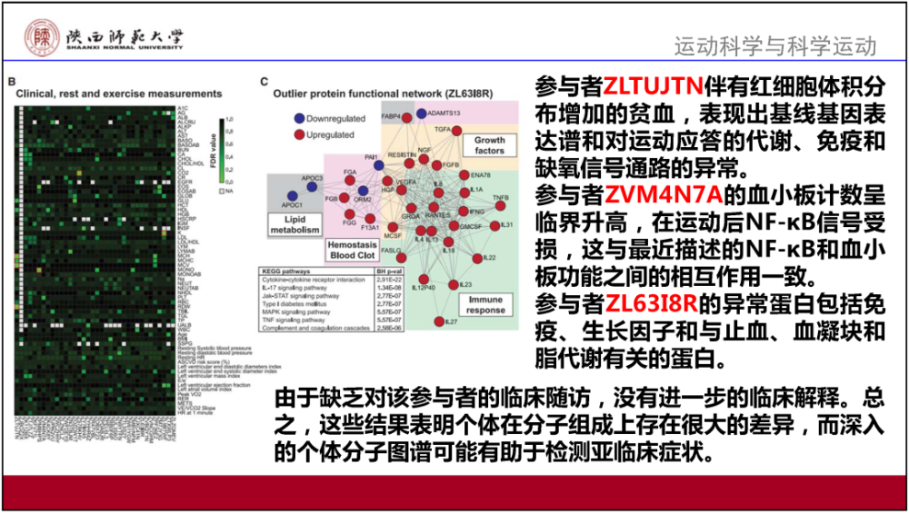 626969澳彩资料大全2020期 - 百度,经典解答解释定义_复刻版53.793