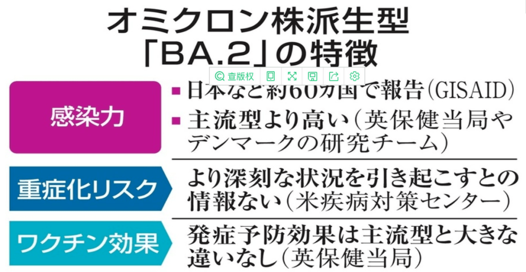 2024年12月17日 第26页