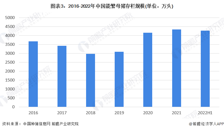 2024港澳今期资料,深层数据计划实施_影像版60.250