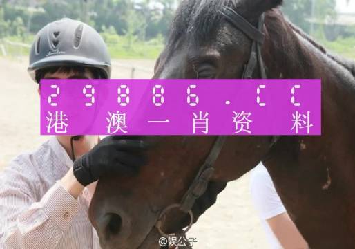 澳门一肖一码一必中一肖,经验解答解释落实_经典版89.436