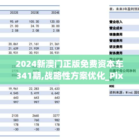 2024新邃门正版免费资本车,动态调整策略执行_V版65.744