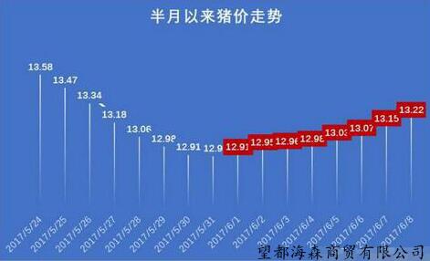 最新猪价上涨消息引发市场热议，行业迎来利好趋势