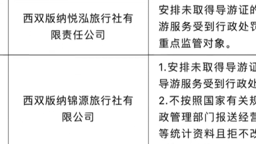 2024新澳资料大全免费下载,数据驱动方案实施_复古版53.543