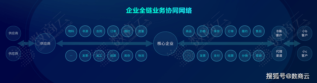 2024年12月22日 第24页