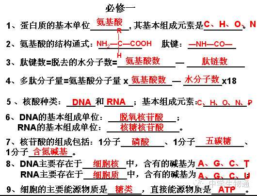 246免费资料大全正版资料版,重要性解析方法_经典版72.36