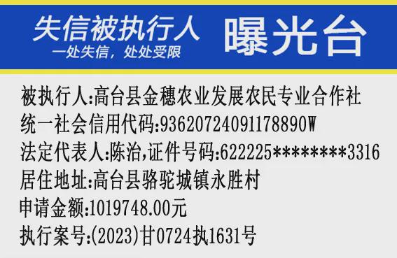 2024新版澳门天天开好彩大全,实际案例解释定义_领航版24.238