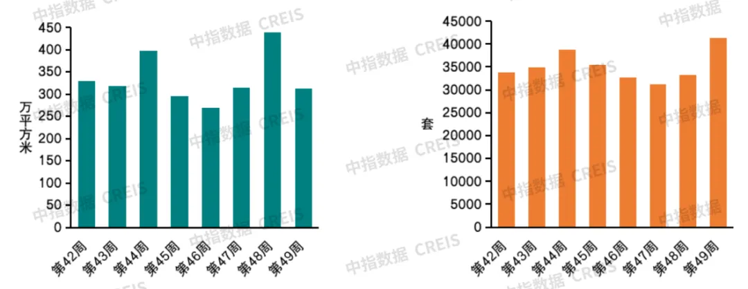 2024年12月24日 第33页