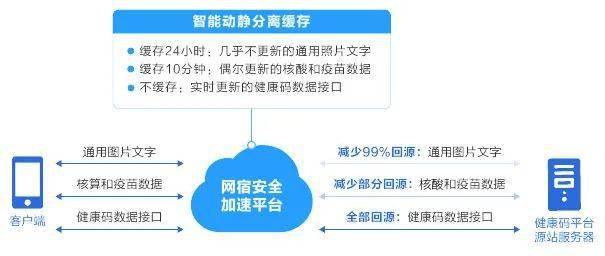 2024年12月25日 第51页