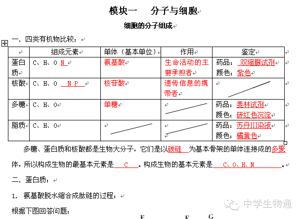 2024年12月25日 第50页