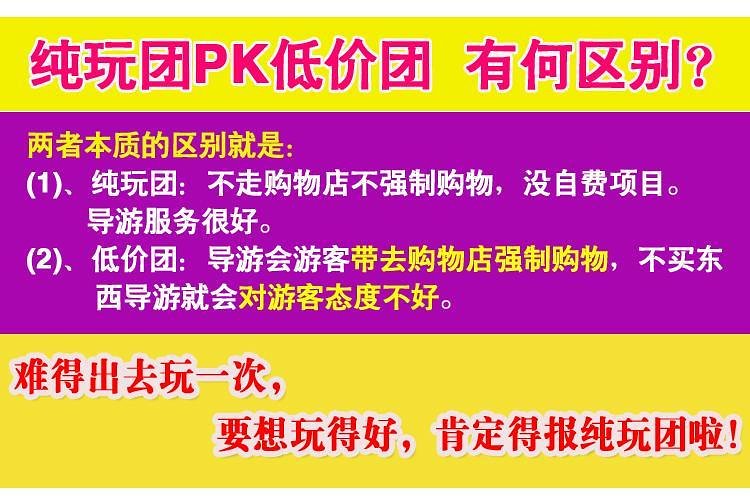 新澳2024年天天开奖免费资料大全,安全执行策略_领航版24.238