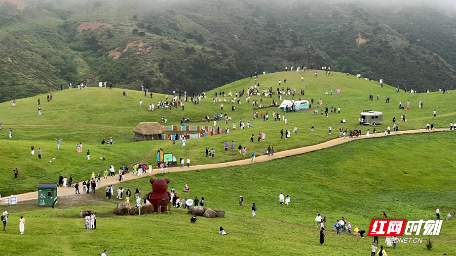 郴州仰天湖最新探索揭秘，发现之旅的惊喜与魅力