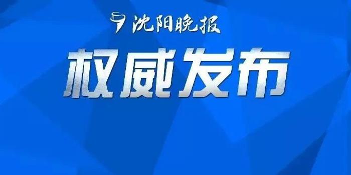 沈阳最新发展案例，城市脉搏与未来展望