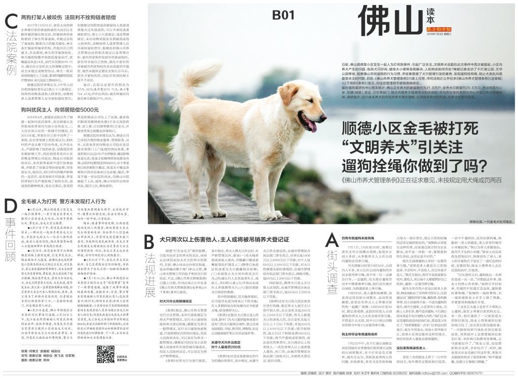 深度探讨，最新禁犬令动态解读