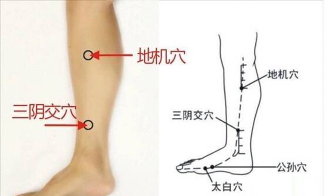 探索与突破，地机最新技术革新揭秘