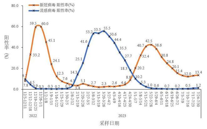 全球疫情最新动态，感染人数、现状分析与应对策略