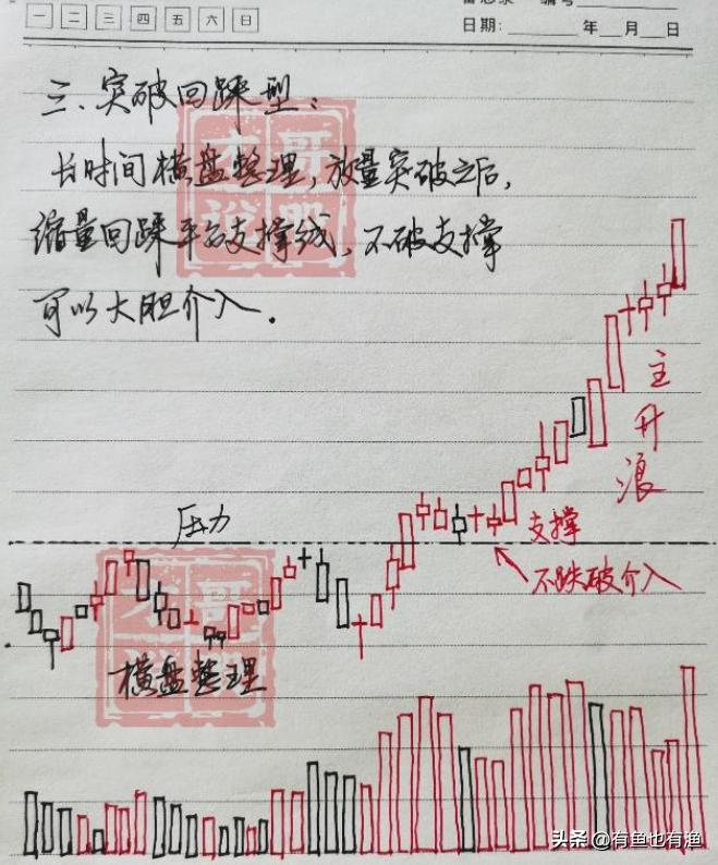 最新炒股书籍概览，洞悉股市风云的必备指南