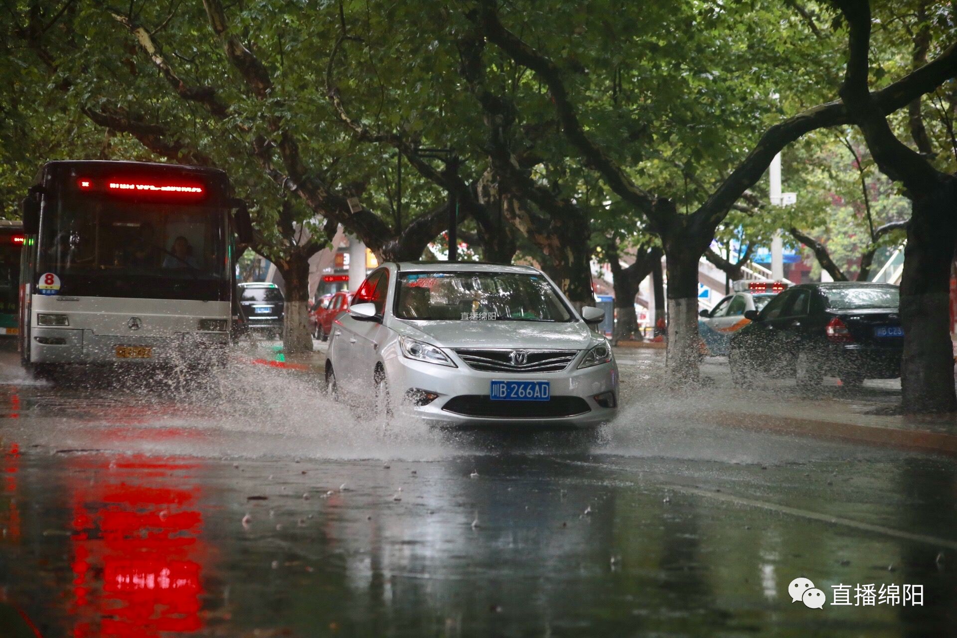 绵阳暴雨考验，城市与自然的挑战及应对策略