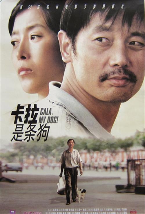 回顾与前瞻，2003年电影盛宴的辉煌与影响