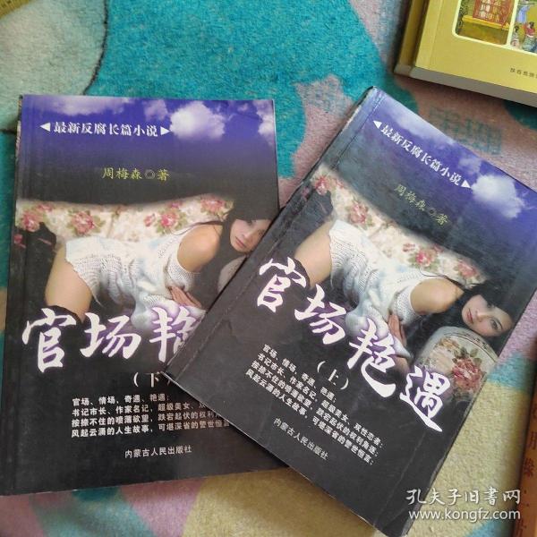 官场艳遇，权力与情感的碰撞