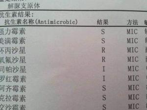 最新解脲脲研究揭示未知领域的关键角色探索