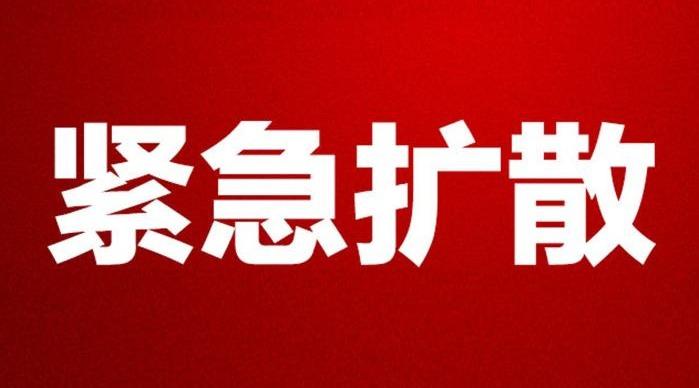 保定市最新发展动态概览