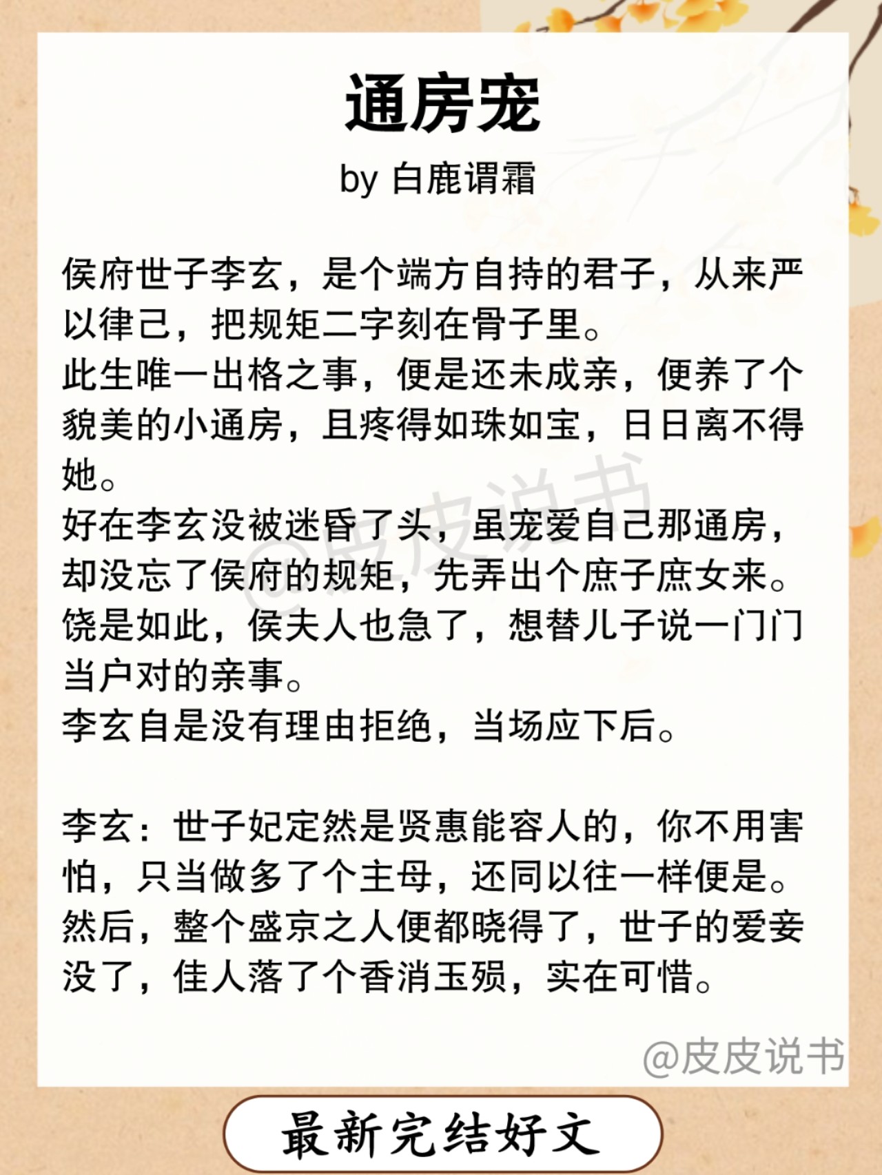 通房宠新潮流，现代人与古代传统交融之美的探索