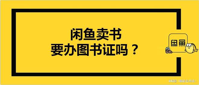 闲鱼图书市场最新动态，探索二手书市场的新篇章