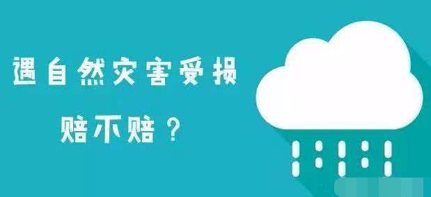 前沿科技与社会变革交汇点的最新探索