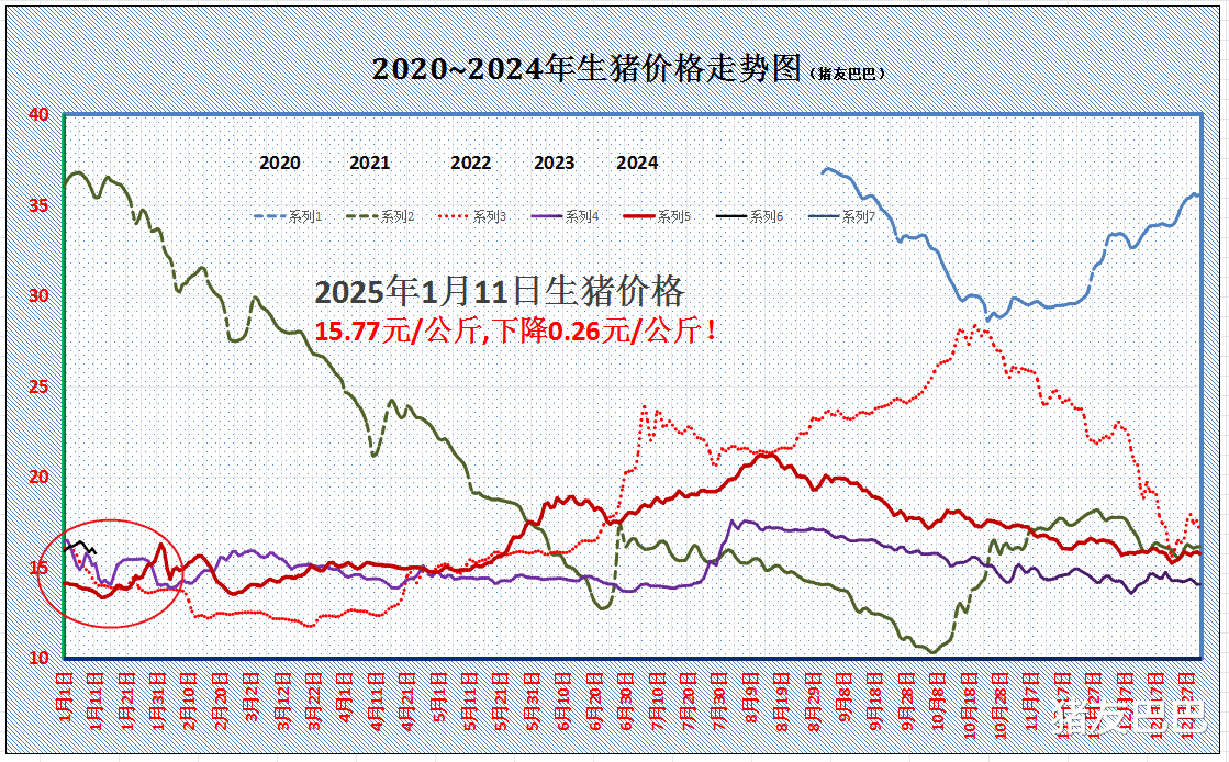 明年猪价走势预测及分析