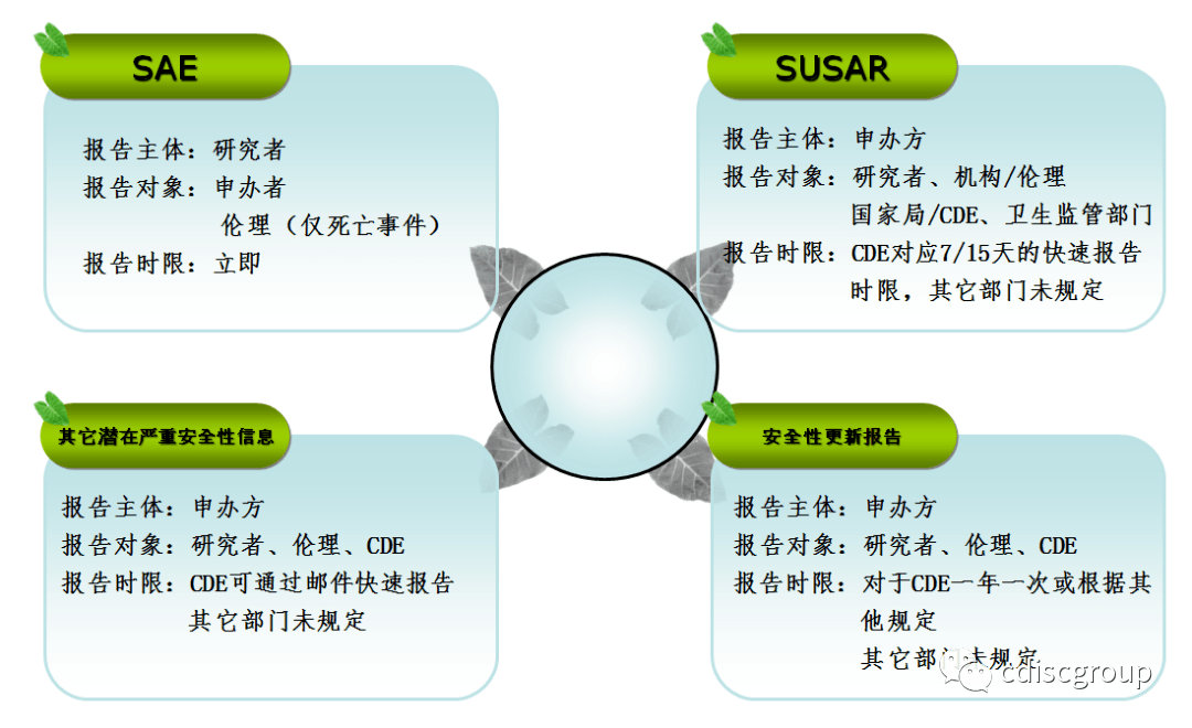 最新SAE上报流程全面解析