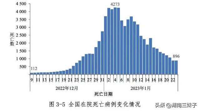 全球面临死亡人数严峻挑战，应对策略揭秘