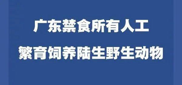 平房大小事与最新招聘，城市生活的微观视角观察