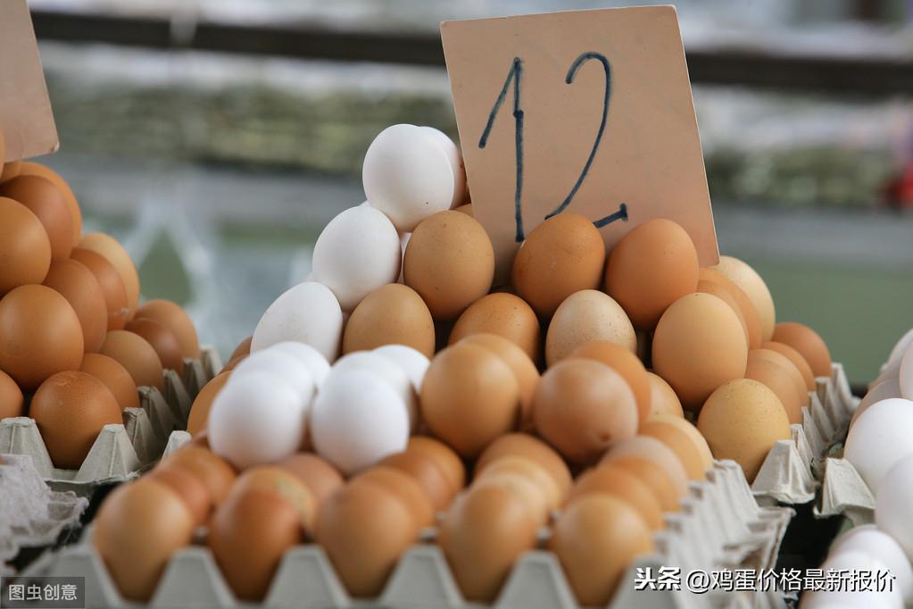 山东今日鸡蛋价格分析简报