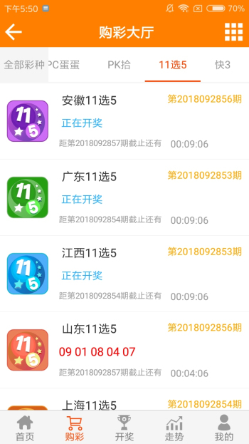 澳门王中王100%的资料三中三，效率资料解释落实_ios77.72.24