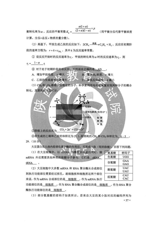 2024澳门旅游攻略大全，最新答案解释落实_BT81.32.68