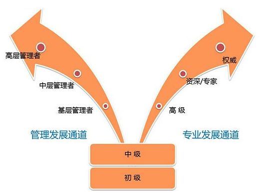 7777788888管家波凤凰,资源整合策略实施_微型版70.113