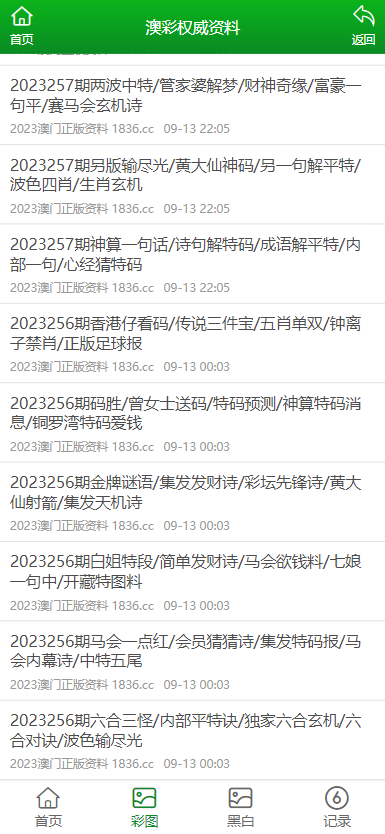 2024年正版资料免费大全一肖,专业分析解释定义_V21.335