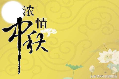 天天好彩,现状解析说明_体验版23.592