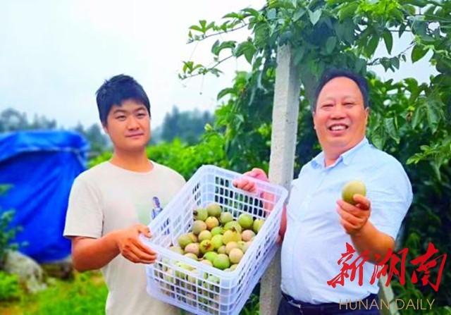 隆回最新城区规划揭晓，塑造未来城市的宏伟蓝图