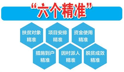 新澳精准资料免费提供生肖版,实地考察数据应用_挑战款38.55