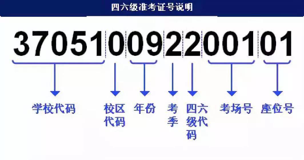 其他国内 第173页