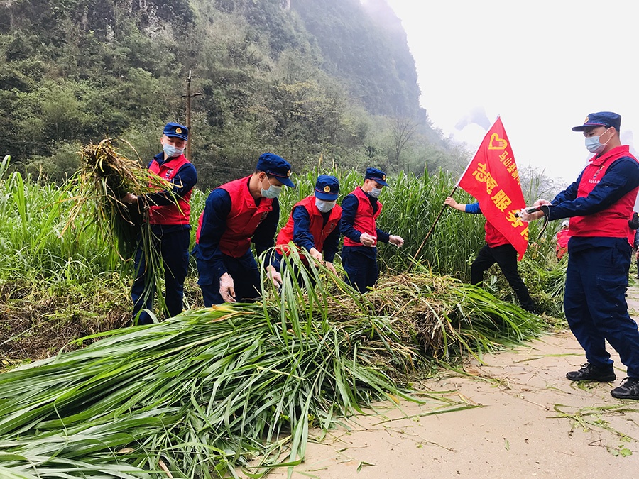 马山县最新新闻报道